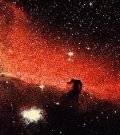 horsehead-s.jpg (5926 bytes)