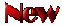 new.gif (1587 bytes)